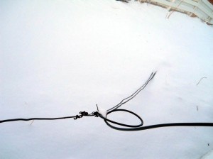 Downed optimum cable 